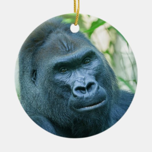 Unschwindelerregende Stärke Silverback Gorilla Kit Keramik Ornament (Vorne)