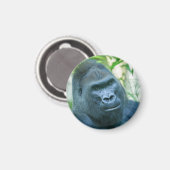 Unschwindelerregende Stärke Silverback Gorilla Kit Magnet (Vorderseite/Rückseite)