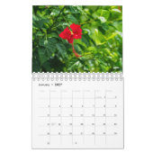 Unseen BaliFoto-Kalender 2019 Kalender (Jan 2027)