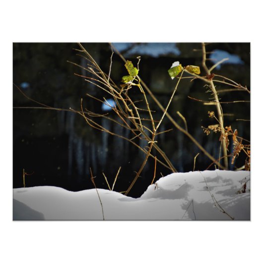 "Unseen Minnesnowta" Fotodruck (Vorne)