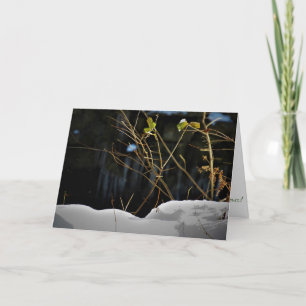 "Unseen Minnesnowta" Weihnachtskarte Karte