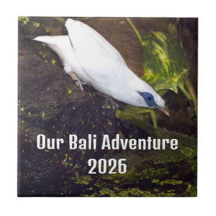 Unser Bali-Abenteuer 2026 Bali-Myna-Vogelkunst Fliese
