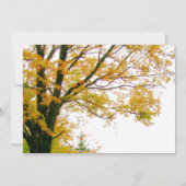 Unser Baum im Herbst Foto Hochzeitsempfang Einladung (Rückseite)
