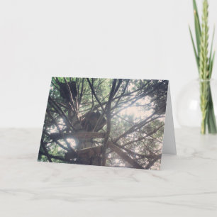"unser Baum täglich HAUS LIFESTYLE" Get Well Card Karte