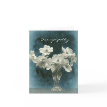 Unser Beileid: Dogwood-Blüten (auch innen Foto)