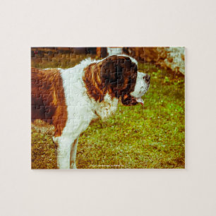Unser Bernhardiner Unser Familienhaustier Puzzle