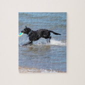 Unser Black Labrador holt Frisbee vom Lake Puzzle (Vertikal)