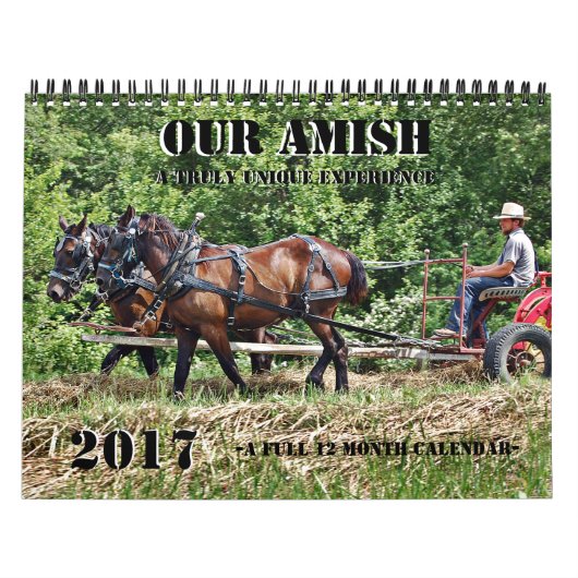 Unser Ehrgeiz Kalender (Titelbild)