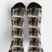 Unser Erster Valentinstag als Foto Socken (Oben)