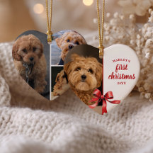 Unser erstes Weihnachten mit unserem Welpen 4 Foto
