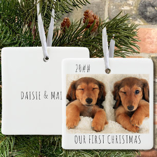 Unser erstes Weihnachtshundelandschaftsfoto Keramikornament