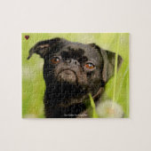 Unser Griffon Hund unser Haustier Puzzle (Horizontal)