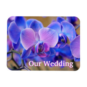 Unser Hochzeitblau und rosa Orchid Magnet