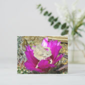 Unser Kakti-Hinterhof blüht eine Lizard Postkarte (Stehend Vorderseite)