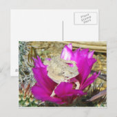 Unser Kakti-Hinterhof blüht eine Lizard Postkarte (Vorne/Hinten)