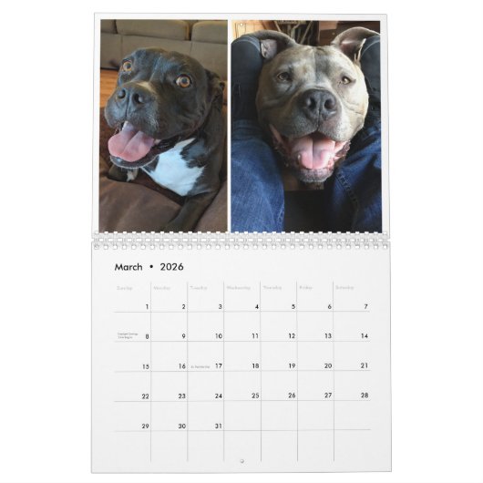 Unser Kalender des Satz-Inc. 2018 (Mär 2026)