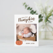 Unser kleiner Kürbis ist hier Herbst-Geburtserklär Postkarte (Stehend Vorderseite)