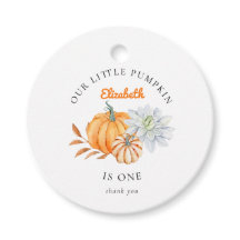 Unser kleiner Pumpkin 1. Geburtstag Elegante Fall 