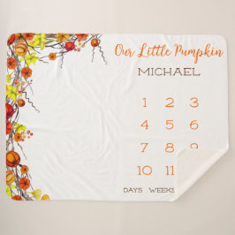 Unser kleiner Pumpkin Autumn Wreath Baby Milestone Sherpadecke