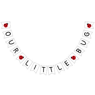 Unser kleines Banner, Ladybug Banner, Geburtstag Wimpelkette