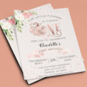 Unser kleines Pumpkin ein 1. Geburtstagsbudget