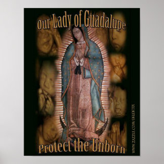 UNSER LADY OF GUADALUPE SCHÜTZT DAS UNBORN. POSTER