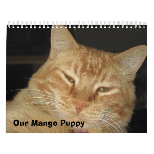 Unser Mango-Welpe Kalender (Titelbild)