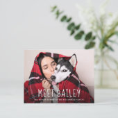 Unser neuer Hund für Haustiere | Einfache Ankündig Einladungspostkarte (Stehend Vorderseite)