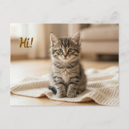 Unser neues Kätzchen-Foto-Ankündigung  Postkarte