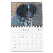 Unser Pack-Kalender 2012, klein Kalender (Feb 2027)