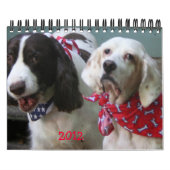 Unser Pack-Kalender 2012, klein Kalender (Titelbild)