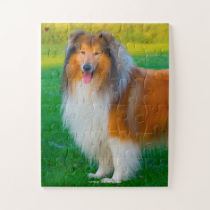 Unser rauer Collie, unser Familienhaustier Puzzle