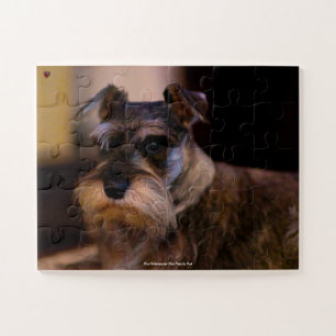Unser Schnauzer unser Familienhaustier Puzzle