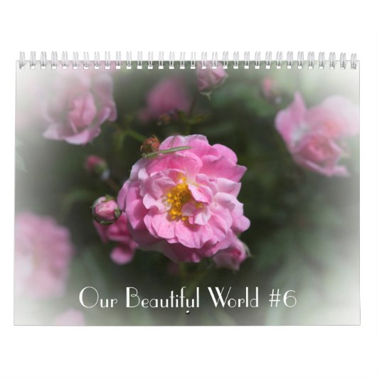 Unser schöner Weltkalender #6 Kalender (Titelbild)