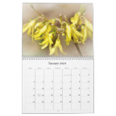 Unser schöner Weltkalender #6 Kalender (Jan 2026)