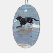 Unser schwarzes Labrador, das Frisbee vom See Keramikornament (Links)