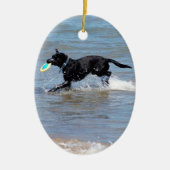 Unser schwarzes Labrador, das Frisbee vom See Keramikornament (Vorne)