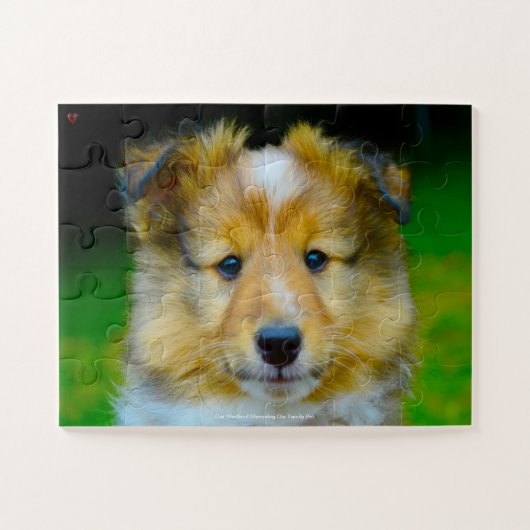 Unser Shetland Sheepdog, unser Haustier Puzzle (Horizontal)