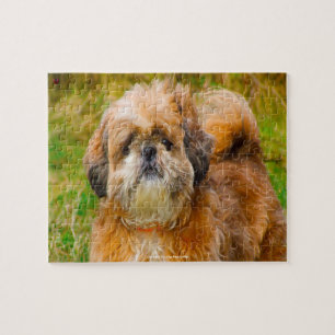 Unser Shih Tzu unser Haustier Puzzle
