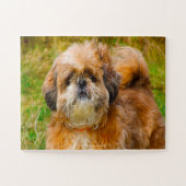 Unser Shih Tzu unser Haustier Puzzle (Horizontal)