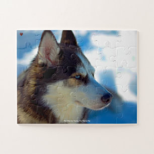 Unser Siberian Husky, unser Familienhaustier Puzzle