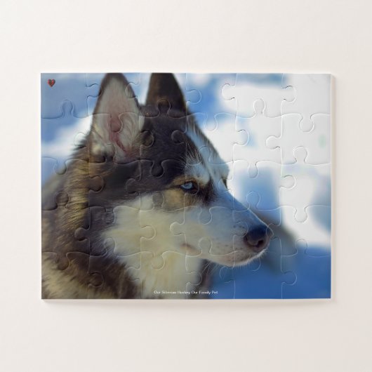 Unser sibirischer Huskey, unser Haustier Puzzle (Horizontal)