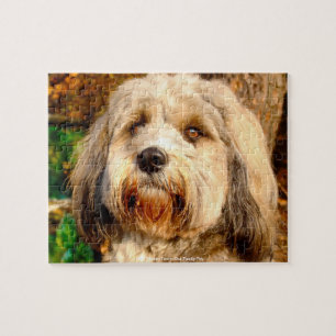 Unser Tibet-Terrier Unser Familienhund Puzzle