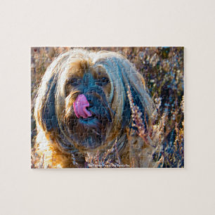Unser Tibet-Terrier Unser Familienhund Puzzle