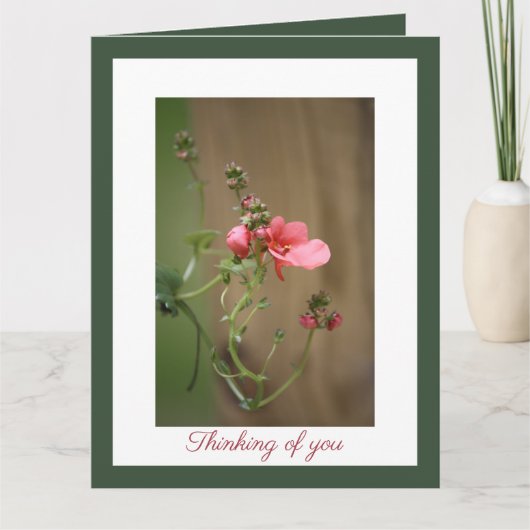 Unser tiefstes Beileid Karte (Vorderseite)