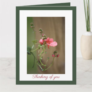 Unser tiefstes Beileid Karte