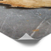 Unser Vaterbuch-Poster Poster (Ecke)