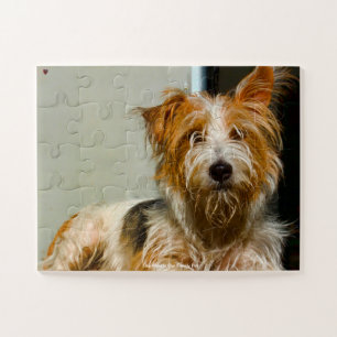 Unser Westie, unser Familienhund Puzzle