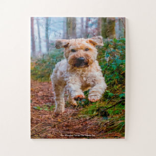Unser "Wheaten Terrier" unser Haustier Puzzle