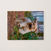 Unser "Wheaten Terrier" unser Haustier Puzzle (Horizontal)